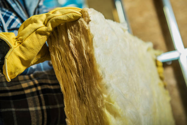 Best Specialized Insulation Services in Dalworthington Gardens, TX