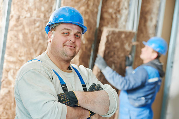 Best Eco-Friendly Insulation in Dalworthington Gardens, TX