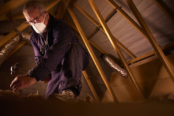 Best Fiberglass Insulation in Dalworthington Gardens, TX